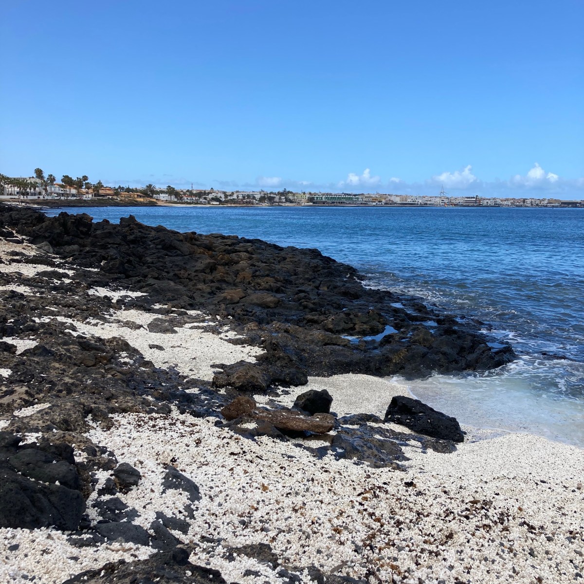 Een kijkje in mijn&nbsp;week